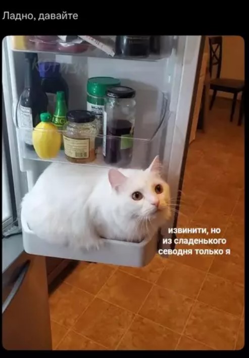 Пакет брать будете?