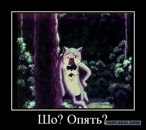 Стрельба произошла около Белого дома.