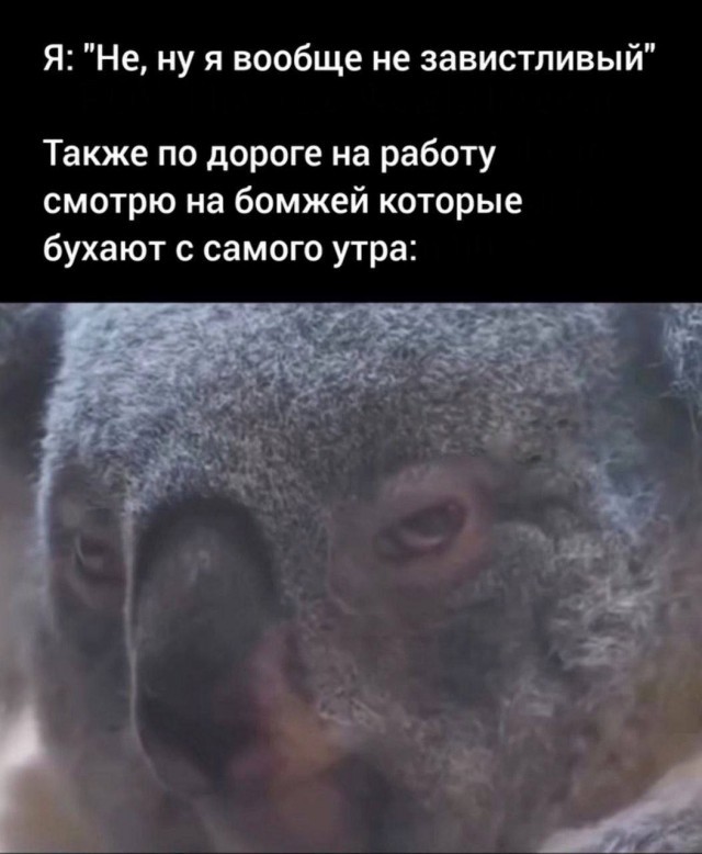 Картинки для деградации 205 (разной степени свежести)