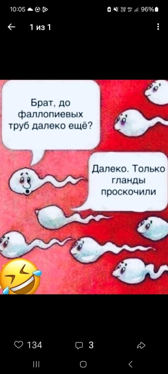 Картинки без критики