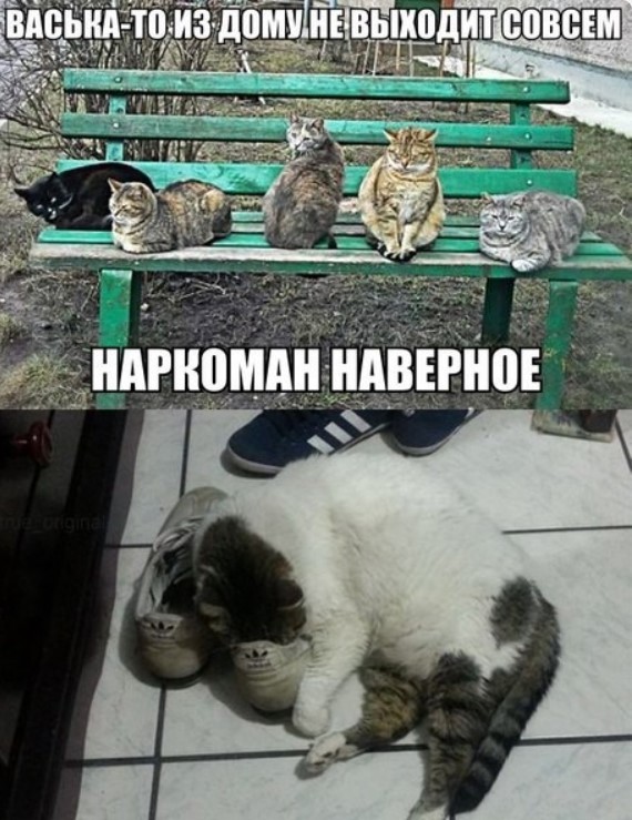 Картиночки, баянчики 25 июня