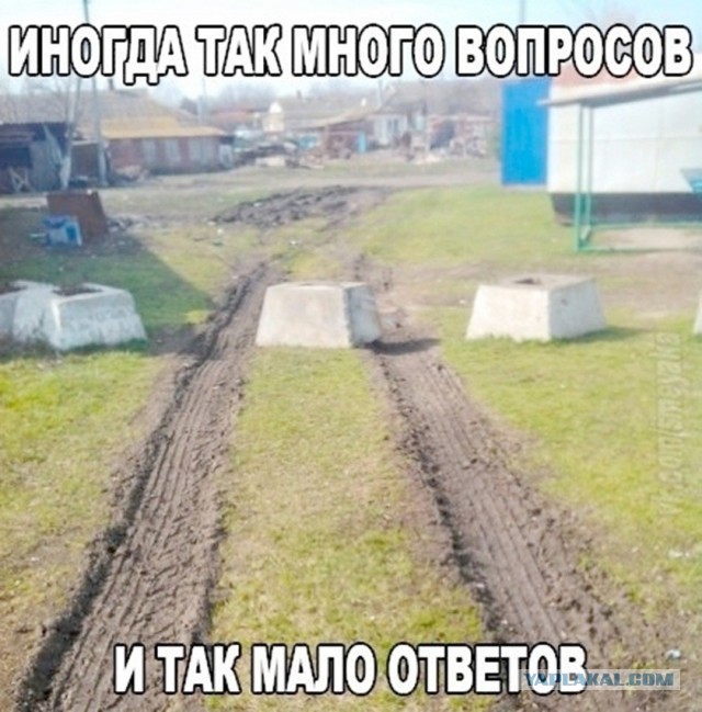 Так себе картинки 25.09.26