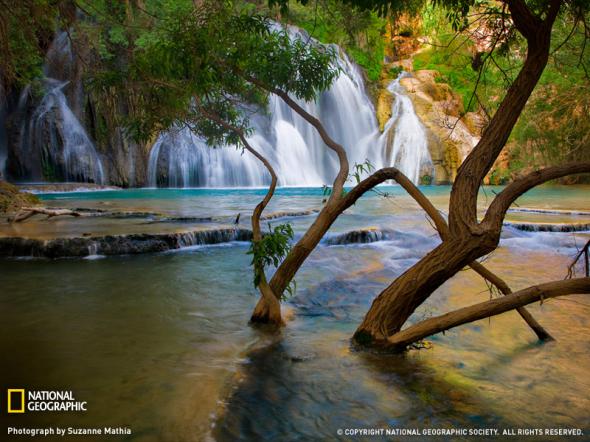 Лучшие фотографии от National Geographic 2009