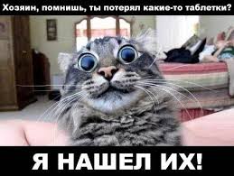 Животное борется за бухло