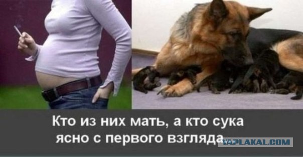 Правильная Мама!