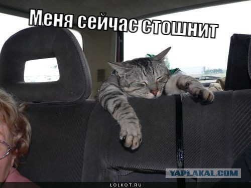 Оно победило на Евровидении