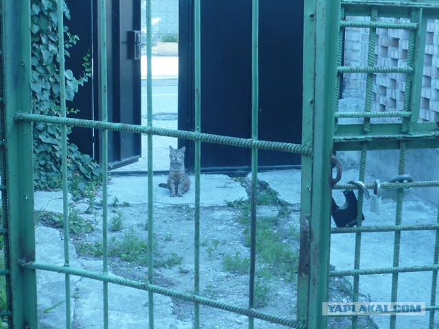 Евпатория 13-14г