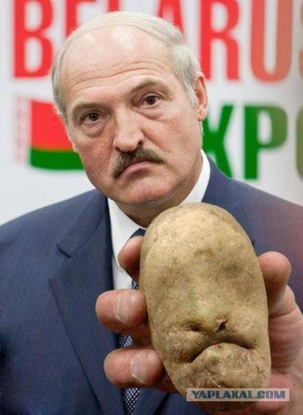 Прикольные картинки на понедельник .