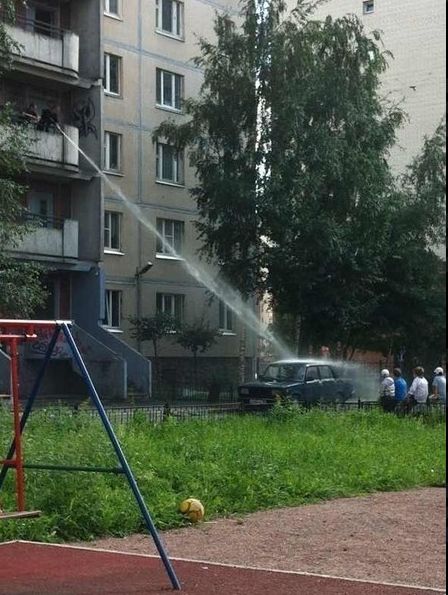 Свежие картинки из сети