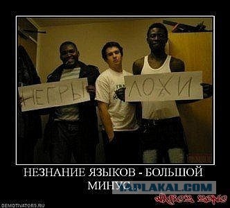 Весёлые картинки