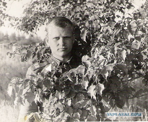 Барбекю на колесах