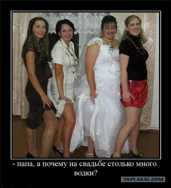 Отцам сыновей