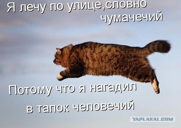 Ну очень жабельно