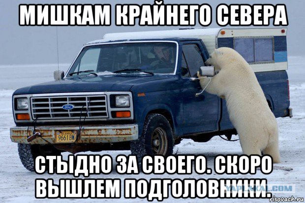 Как я машину без подголовников купил)