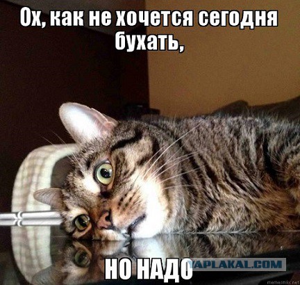 Пятница немного настроения