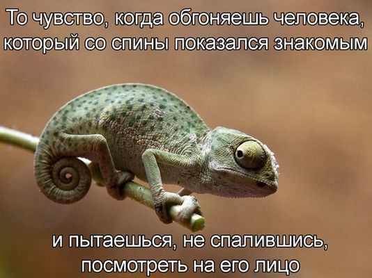 Подборка веселостей из сети
