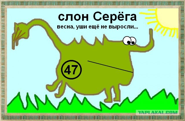 Диплодок сука