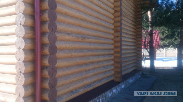 Строительство рубленной бани из кедра