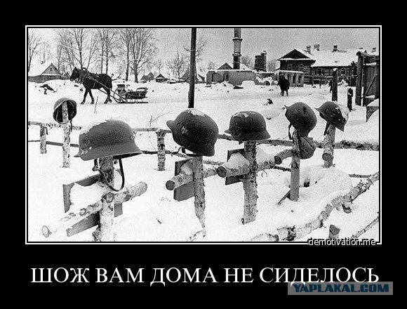 Кого мы победили в 1945 году