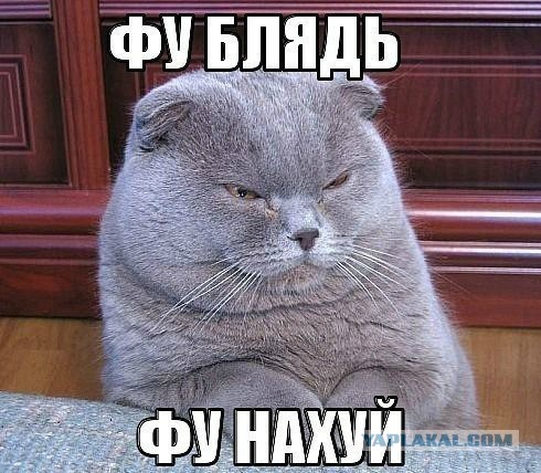 Champions League Сезон 2015/2016