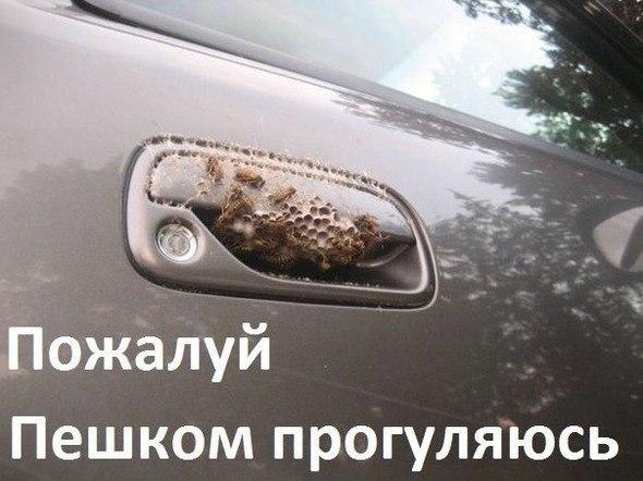 Картинки на субботу