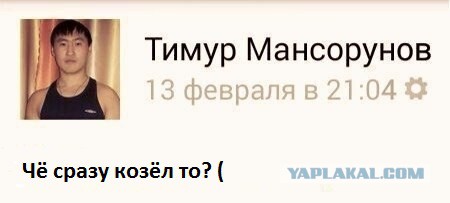 Тигр Амур стал учить козла Тимура охотиться