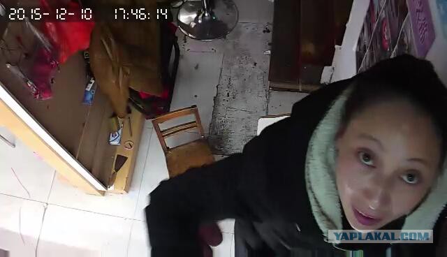 За что я люблю китайцев