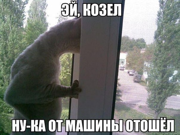Картинки и демотиваторы