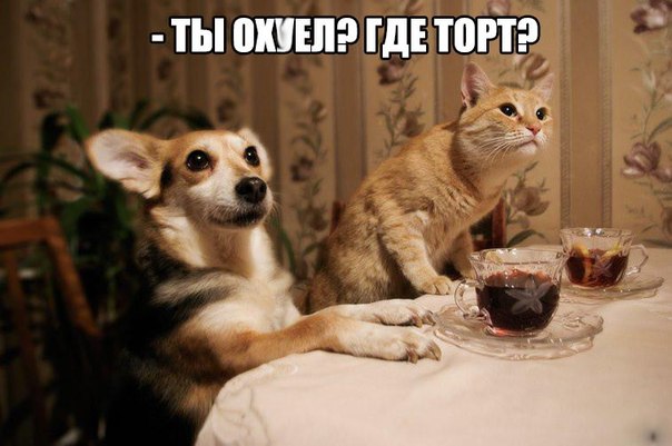 Картинки разные 2