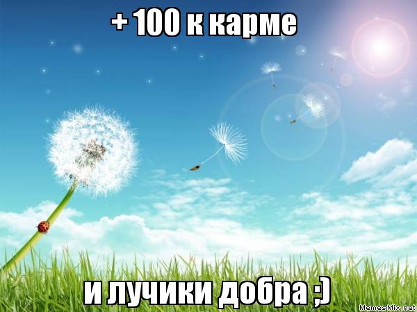 Такой Сосед