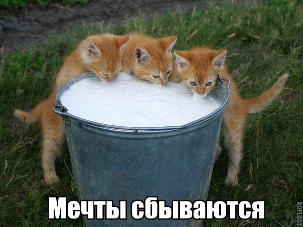 Картинки