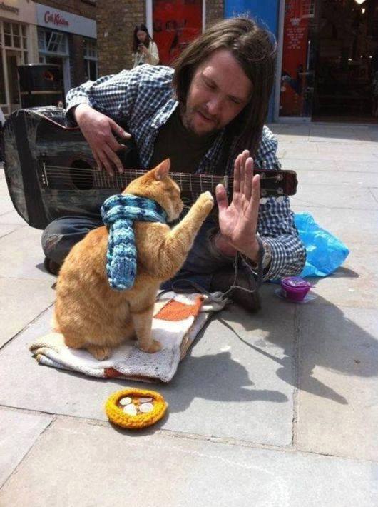 Подборка интересных и веселых картинок