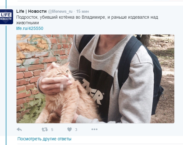 Во Владимире подростки сняли на видео жестокое убийство котёнка
