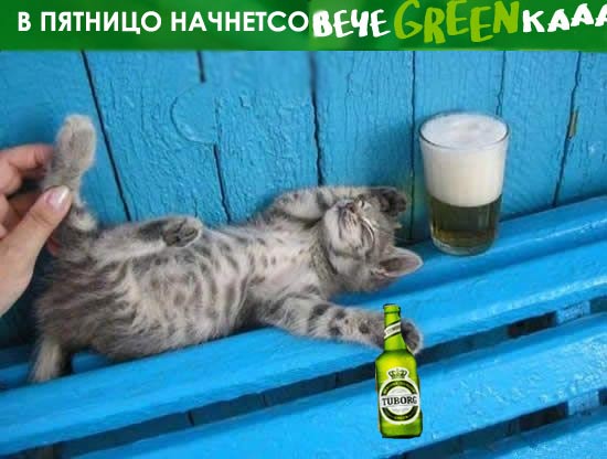 Фотожаба: чем закончится вечеgreenка?
