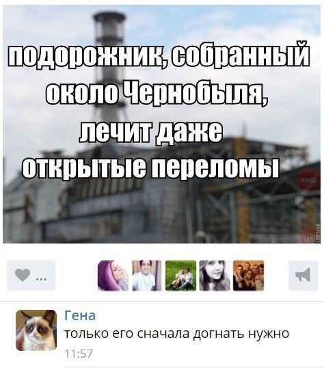 Ужасы и приколы из соцсетей 18+
