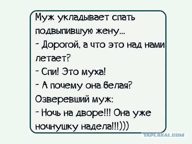 Смешные комментарии из социальных сетей 07.10.2016
