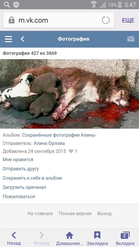 Живодерки из Хабаровска