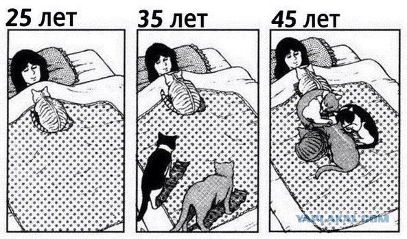 Свободные отношения. Почему все хотят обязанностей?