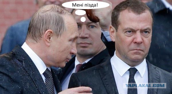 Под дождём