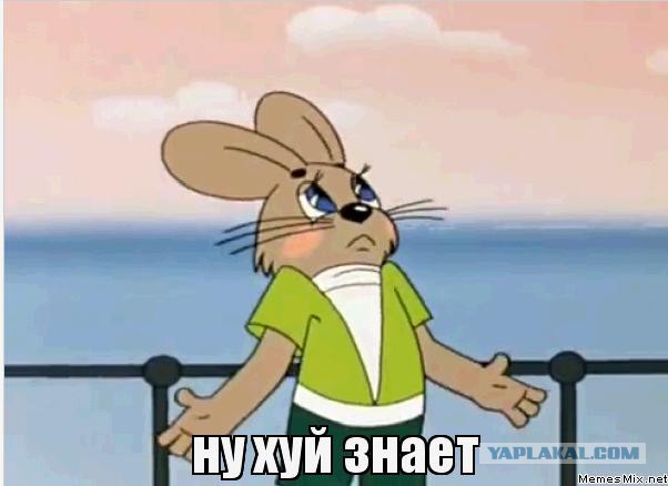 Пропажа или опять "золотая судья"