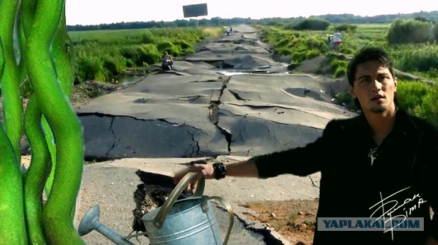 Фотожаба: Поможем Билану доехать