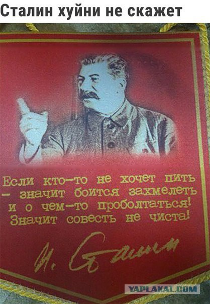 Подборка интересных и веселых картинок
