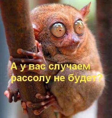 Выжившим в Новогоднюю ночь посвящается…
