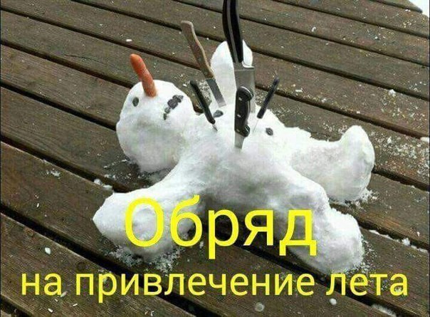 В асоциальных сетях не должно прекращаться веселье