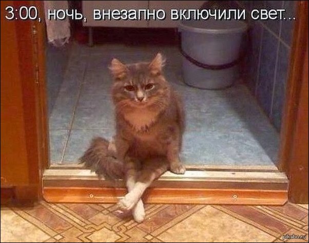 Подборка интересных и веселых картинок