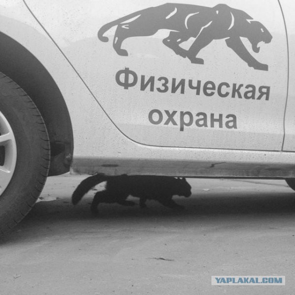 Удивительные снимки с российских просторов