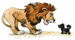 В Танзании маленький песик атаковал двух огромных львов