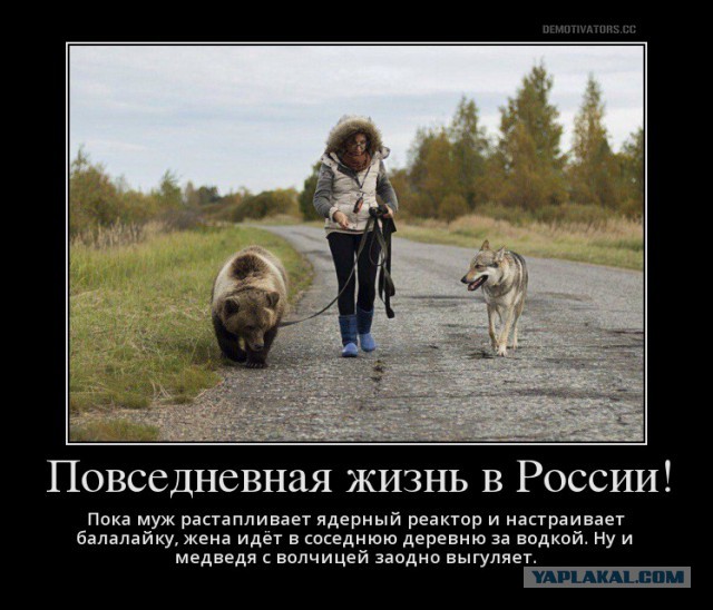 Анекдоты, соц-сети и картинки с надписями
