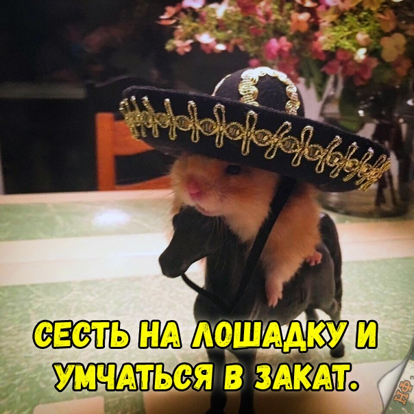Прикольные картинки абавсём