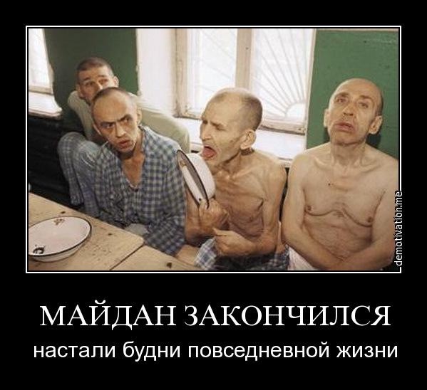 Хомяки разбушевались